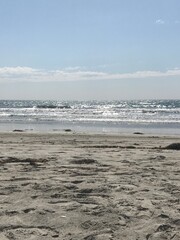 Sitting in the sand on the beach