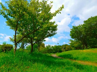 landscape with beautiful sky and cloud