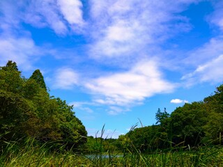 landscape with beautiful sky and cloud