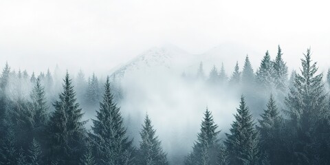 Fototapeta premium Misty snowy mountain with pine forest, soft edges blurring and fading into white background, ultrarealistic