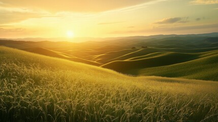 A serene sunset illuminating rolling green hills covered in blooming white wildflowers.