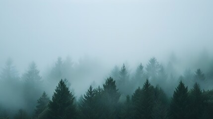 Obraz premium Background showing minimalistic macro shot of a foggy forest AI generated illustration