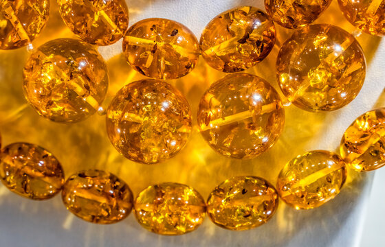 Colorful golden Baltic amber, Gdansk, Poland. Amber capital of the world. Amber 40 million years old. Found Gdansk Beaches 6000 years. Plant pollen in amber.