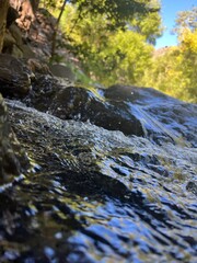 mountain stream in autumn