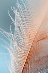 Close up of a feather featuring abstract minimalism  AI generated illustration