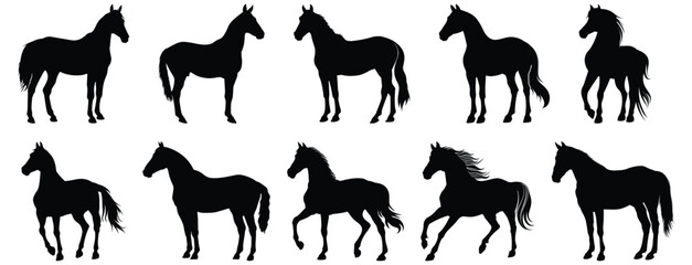 Horse silhouette set vector design big pack of animal illustration and icon