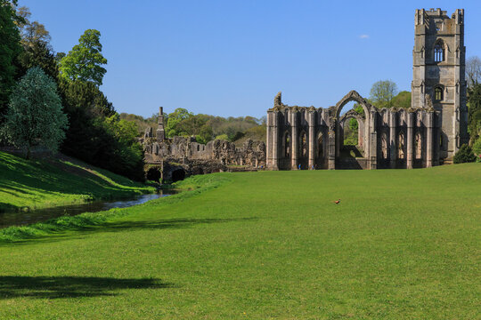 England, North Yorkshire, Ripon. Fountains Abbey, Studley Royal. UNESCO World Heritage Site. National Trust, Cistercian Monastery. River Skell, Ruins of tower and Chapel of Altars.