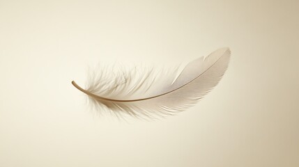 Obraz premium A single white feather lays on a beige background.