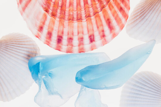 Shells and blue glass with light