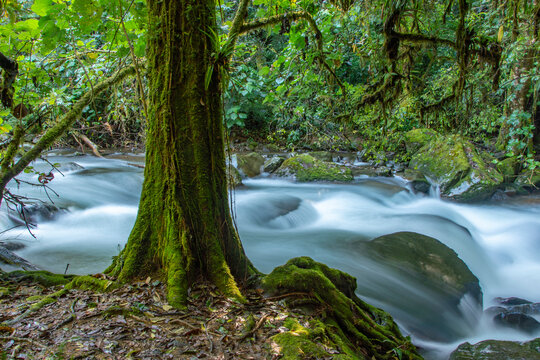 Costa Rica, Cordillera de Talamanca. Savegre River rapids.