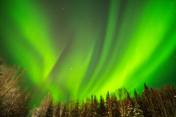 USA, Alaska, Fairbanks. Northern lights and stars.