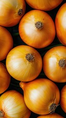 A background filled with fresh, ripe yellow onions, piled high at a farmers market.






