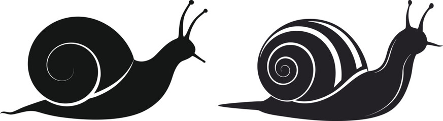 snail vector silhouette  © Tanvir