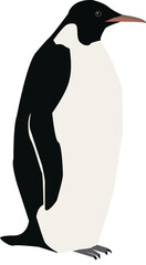 A vector art of a penguin.
