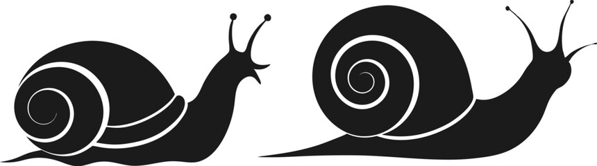 snail vector silhouette 