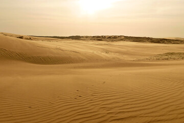 Desolate and pacific desert
