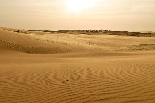 Desolate and pacific desert