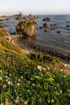 Sea stacks at sunset in Crescent City, California, USA.