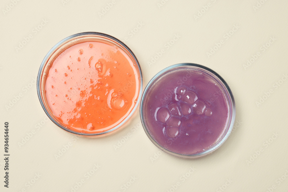 Wall mural Petri dishes with samples on beige background, top view