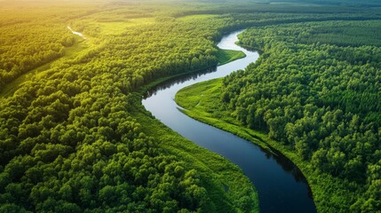 Aerial View: Winding River Through Lush Green Forest