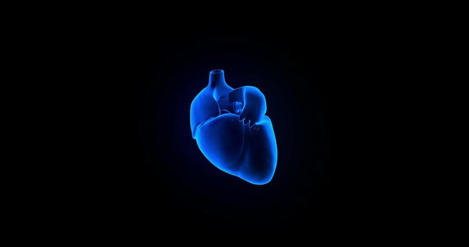 Holographic projection of a rotating beating heart