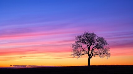 Obraz premium Solitary Tree Silhouette at Sunset