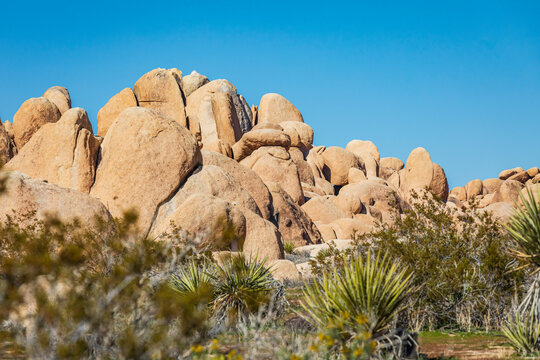 California, USA. Rock formations in Joshua Tree National Park.