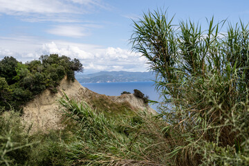 Tall grass and shrubs overlooking the sea on the Island of Corfu in Greece.