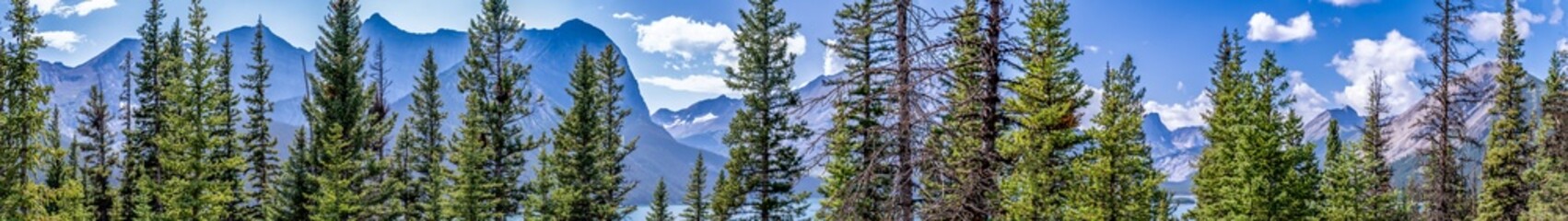 Panoramic view of temperate coniferous forests ecoregion in an Alberta Mountain range. 