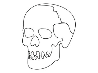 human skull drawn one line art vector illustration   