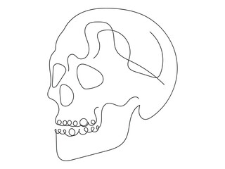 human skull drawn one line art vector illustration   