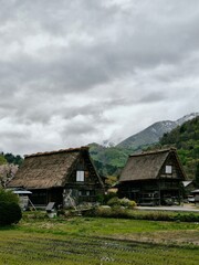 Fototapeta premium Shirakawa National Park