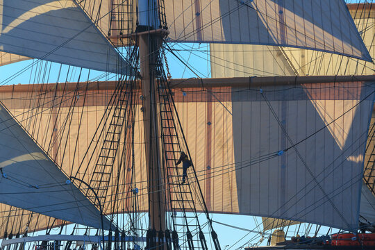 Man climbing the rigging of a tall ship sailboat. San Diego, California, USA