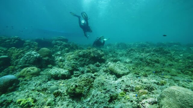 Divers with professional equipment explore ocean floor