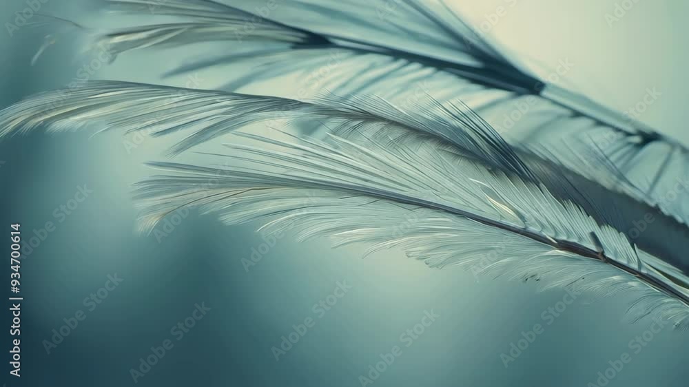 Poster a detailed close-up an array of colorful feathers artfully arranged on a rustic table, highlighting 