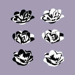 Black and White Flower Decorative Illustration