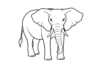 elephant illustration line art vector