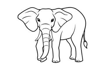 Obraz premium elephant illustration line art vector