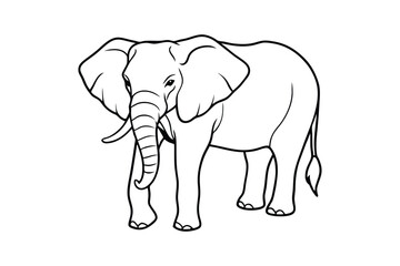 Fototapeta premium elephant illustration line art vector