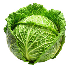 Obraz premium Cabbage on on White with Transparent Background - High-Resolution PNG Image