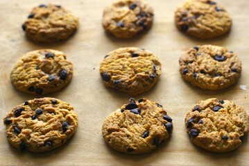 group of choco chip cookies on wooden background