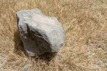 stone in the grass