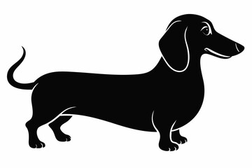 Dog. Dachshund. Realistically Hand-drawn Dachshund. Black silhouette. Transparent background. Vector illustration line drawing, transparent