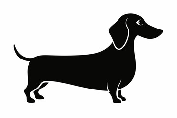 Dog. Dachshund. Realistically Hand-drawn Dachshund. Black silhouette. Transparent background. Vector illustration line drawing, transparent