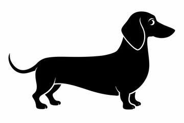 Dog. Dachshund. Realistically Hand-drawn Dachshund. Black silhouette. Transparent background. Vector illustration line drawing, transparent