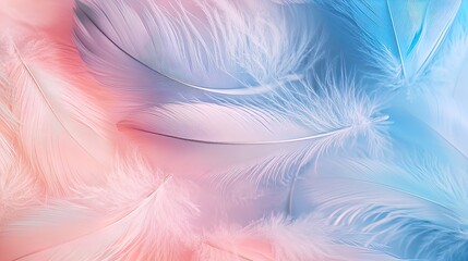 Obraz premium Elegant Pastel Feathers in Soothing Pink and Blue: Perfect for a Calming Aesthetic Poster to Enhance Your Chic Sports Interior Décor