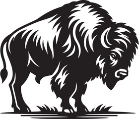 Bison buffalo vector silhouette, bison icon, Animal Silhouette, bison logo vector,