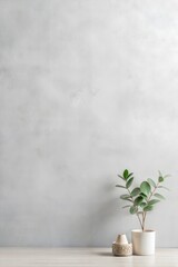 empty room with plant and decorative elements