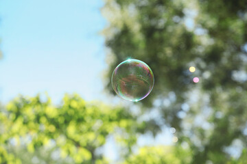Beautiful soap bubbles floating in park
