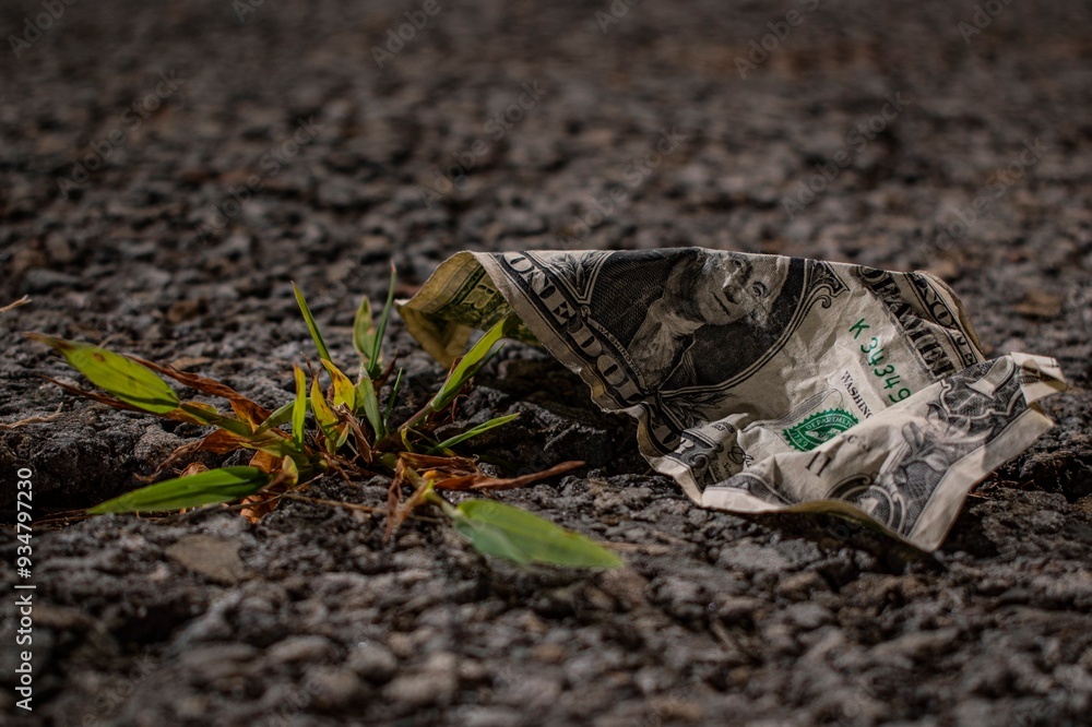 Wall mural plant growing next to money